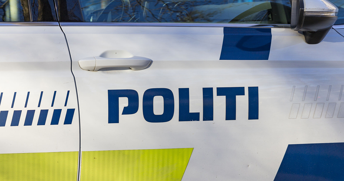 Politibil