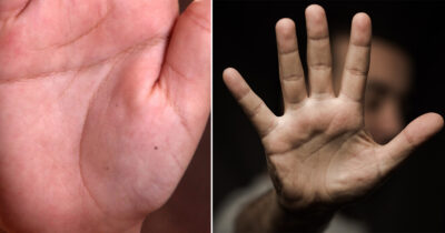 Simianlinjen kan fortælle noget særligt om dig.