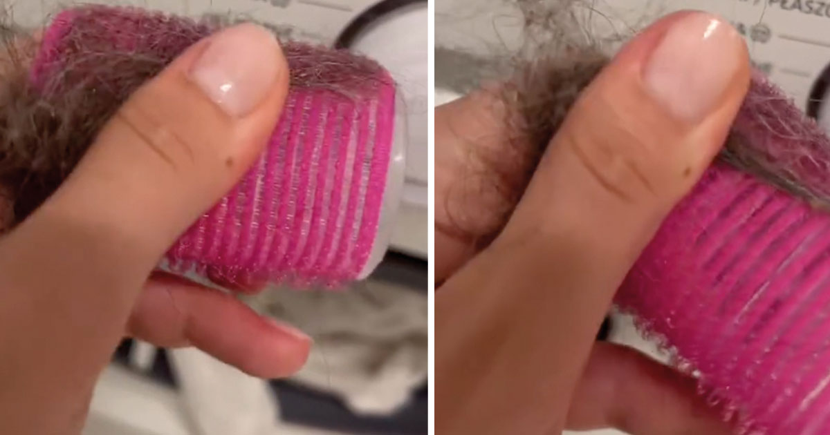Simpelt trick til at fjerne hundehår på tøjet