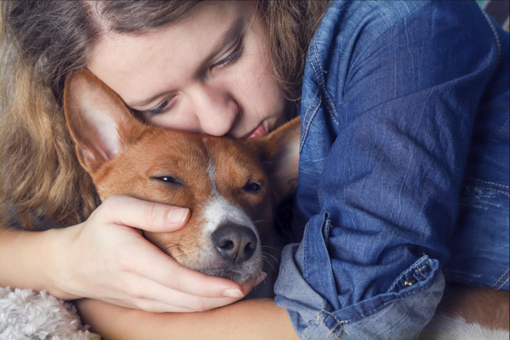 Der er en række ting, der kan være tegn på, at din hunds liv snart er slut.
