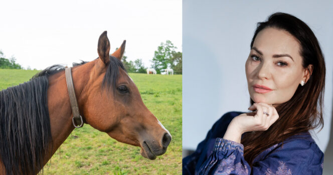 Mascha Vang - bemærk dette er ikke et billede af Mascha Vangs hest, men blot et genrefoto.
