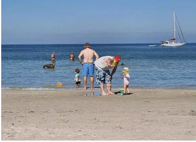 En haj var set i området. 