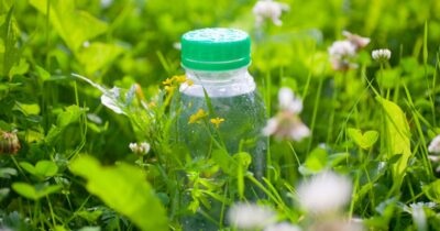 plastflask, have