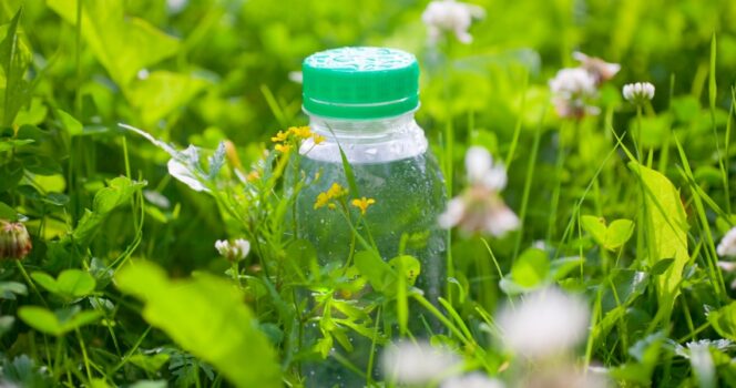 plastflask, have