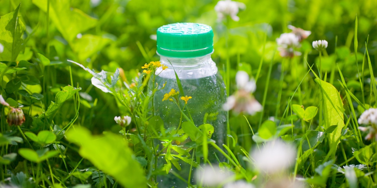 plastflask, have