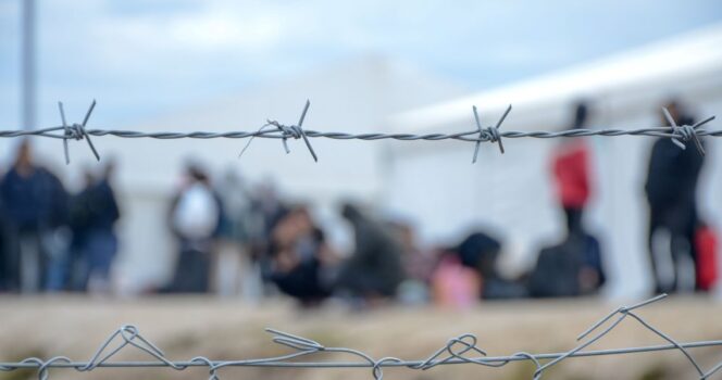 Migrant, pigtråd