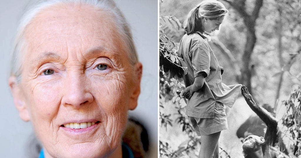 leonardo dicaprio rivela le sue ultime parole a jane goodall