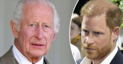 Re Carlo (a sinistra), Principe Harry (a destra).