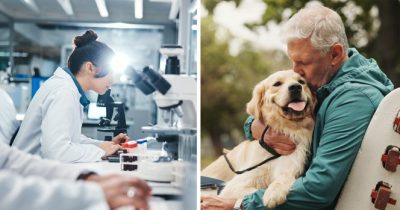 Ricercatrice in laboratorio e uomo anziano con cane.