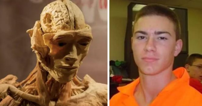 Mamma riconosce il cadavere del figlio esposto in un museo