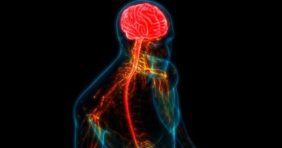 Radiografia del corpo umano,