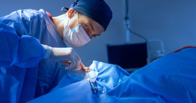 chirurgia plastica di una donna russa fa scalpore sul web da Newsner.it chirurgia plastica di una donna russa fa scalpore sul web
