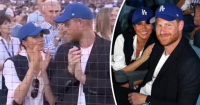 harry meghan honkbal