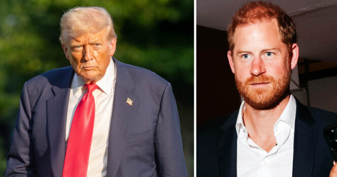 harry trump