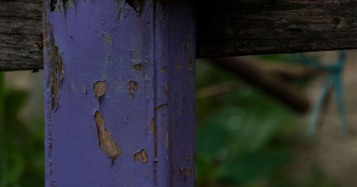 purple fence