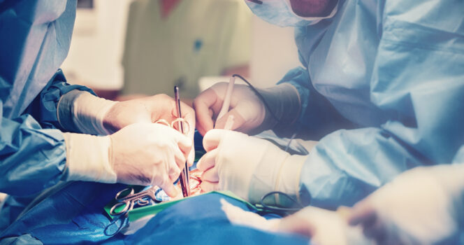 Équipe médicale pratiquant une intervention chirurgicale