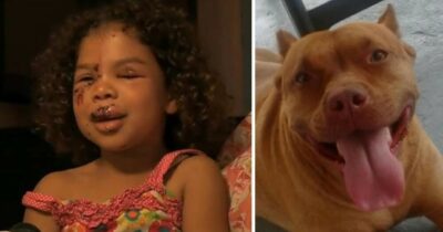 Remayah Hernandez et son pitbull