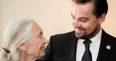 Jane Goodall et Leonardo DiCaprio