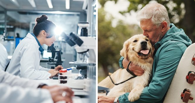 Scientifiques (à gauche), un homme âgé et son chien (à droite)