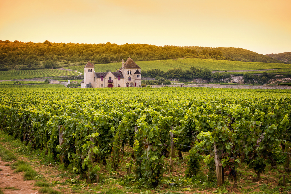 Bourgogne