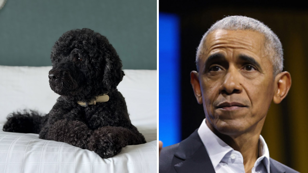 Barack Obama, le chien Sunny