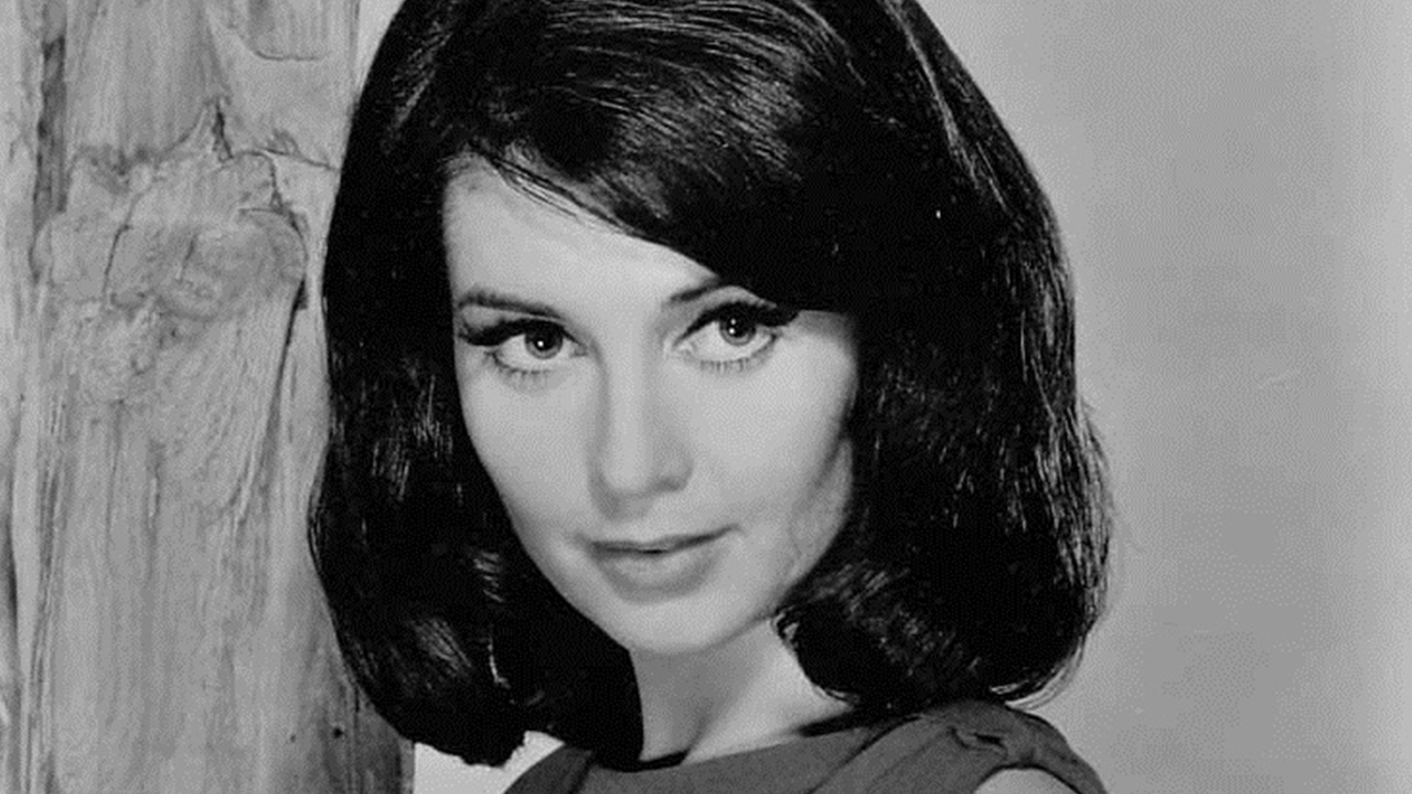Anjanette Comer